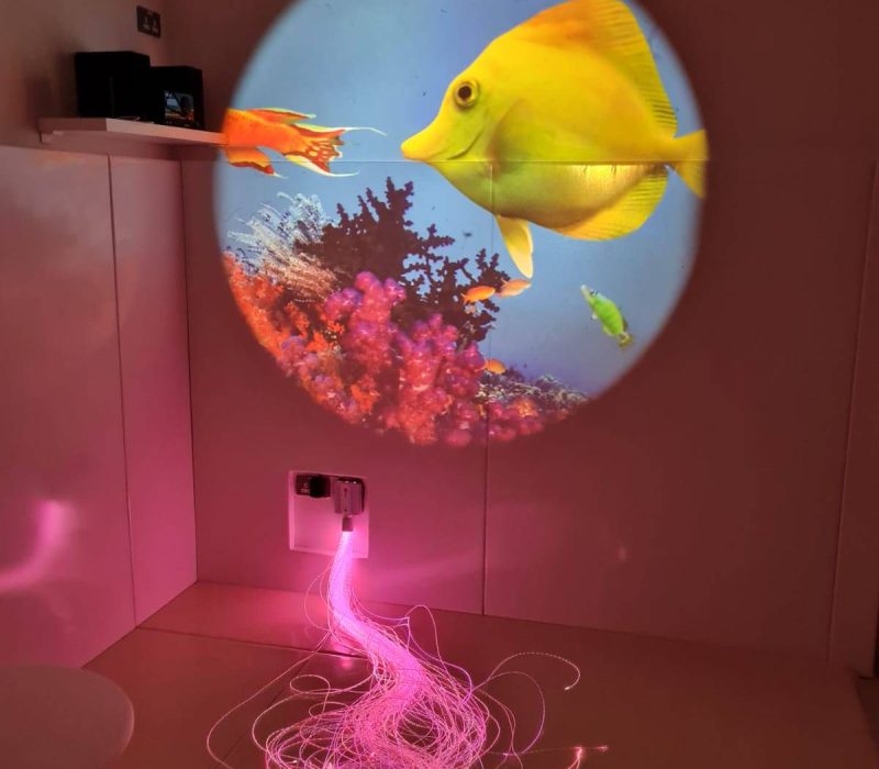 St.Olivers Special School Tuam Co. Galway-2